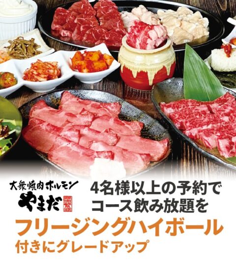 大衆焼肉ホルモン やまだ