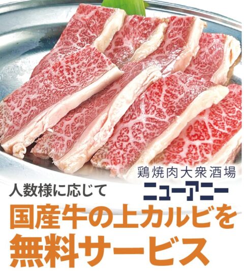 鶏焼肉大衆酒場 ニューアニー
