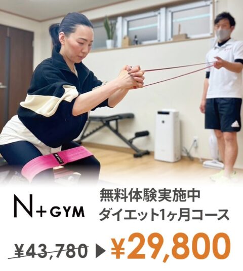 エヌプラスジム