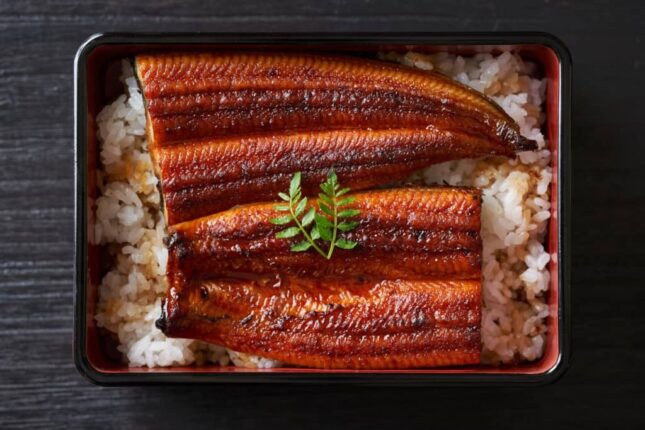 鰻の成瀬　うな重